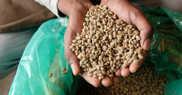 Why Freshly Roasted Coffee is Superior to Pre Packaged Coffee