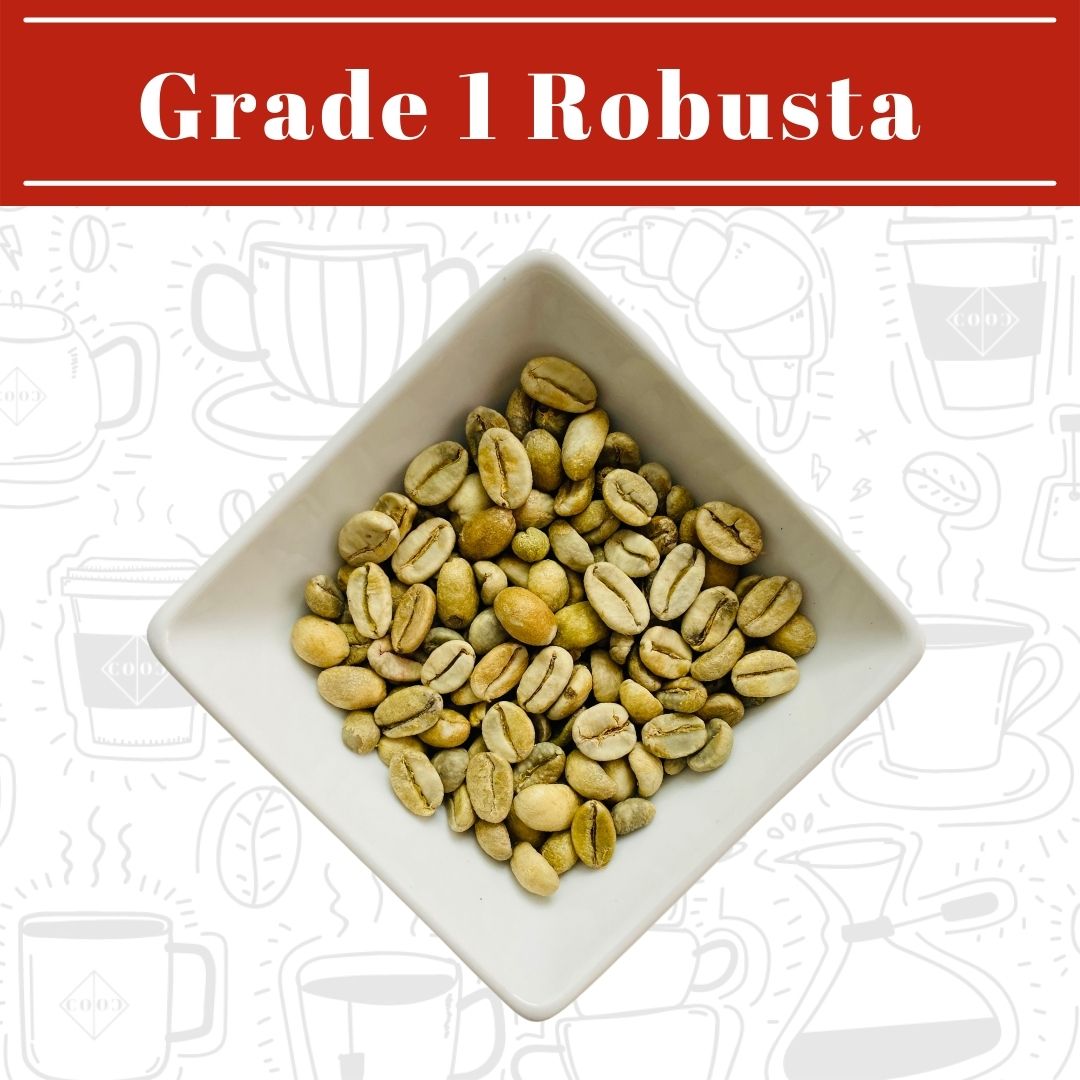 Vietnamese Coffee - Single Origin – Grade 1 Robusta - Colco Coffee