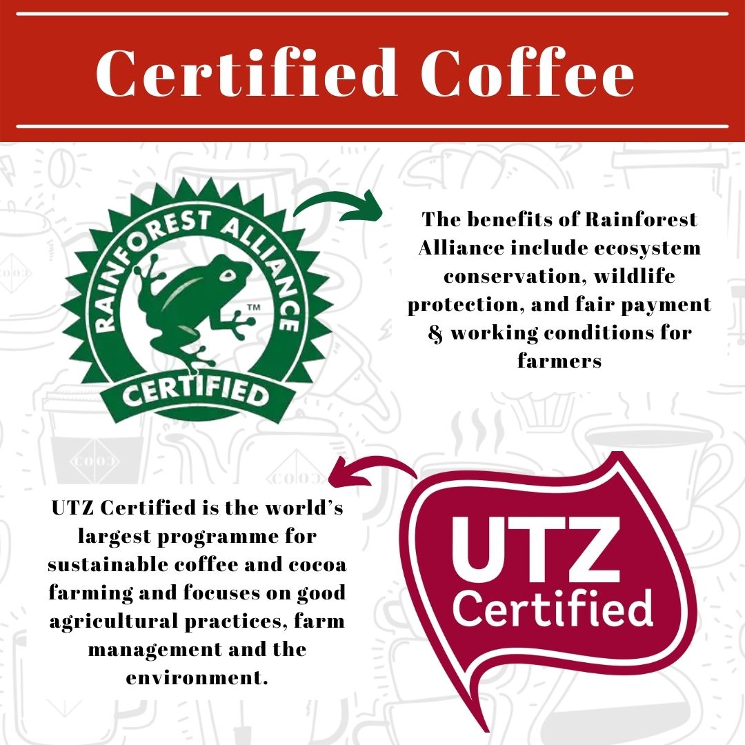 Vietnamese Coffee - Single Origin – Grade 1 Robusta - Colco Coffee